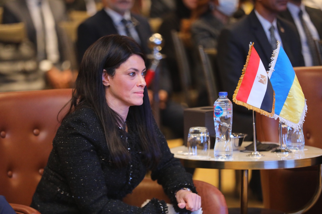 وزيرة التعاون الدولي