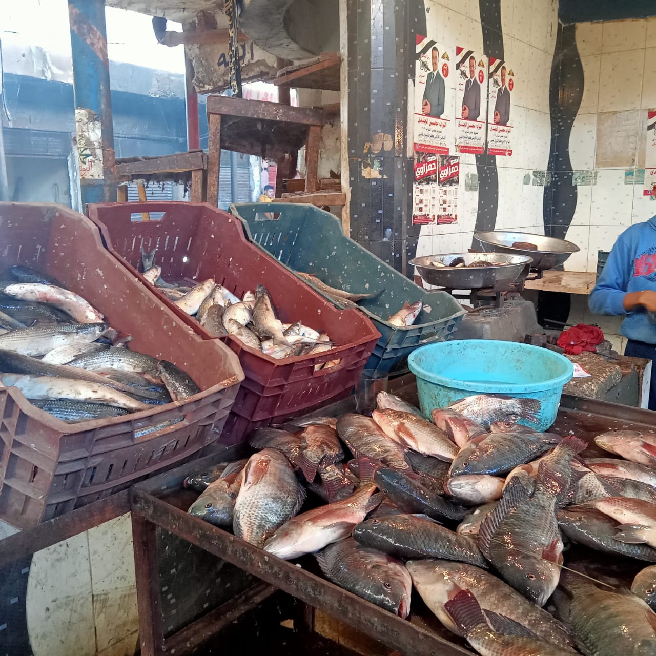 سوق مبارك للأسماك بكفر الشيخ