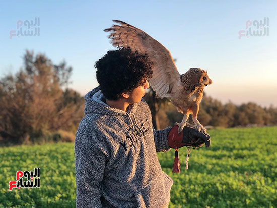 عمر-خالد-شاب-يهوى-تربية-الحيوانات-البرية-والطيور-الجارحة-(10)