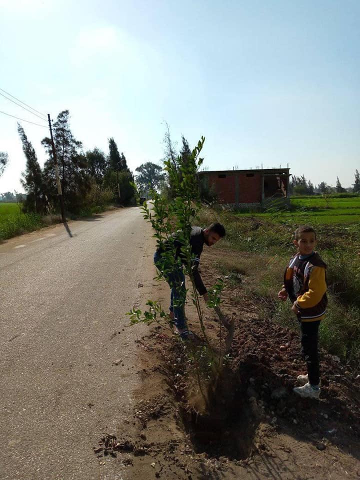 الاطفال يشاركون في زراعة الاشجار