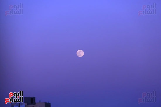 اصغر بدر فى عام 2021 (1)