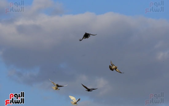 لحظة الغروب لحظة الغروب