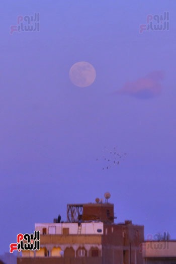 البدر قبل الغروب البدر قبل الغروب