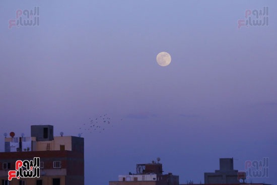 القمر قبل الغروب. القمر قبل الغروب.