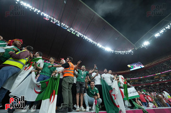 أعلام الجزائر تزين المدرجات بعد التتويج بكأس العرب