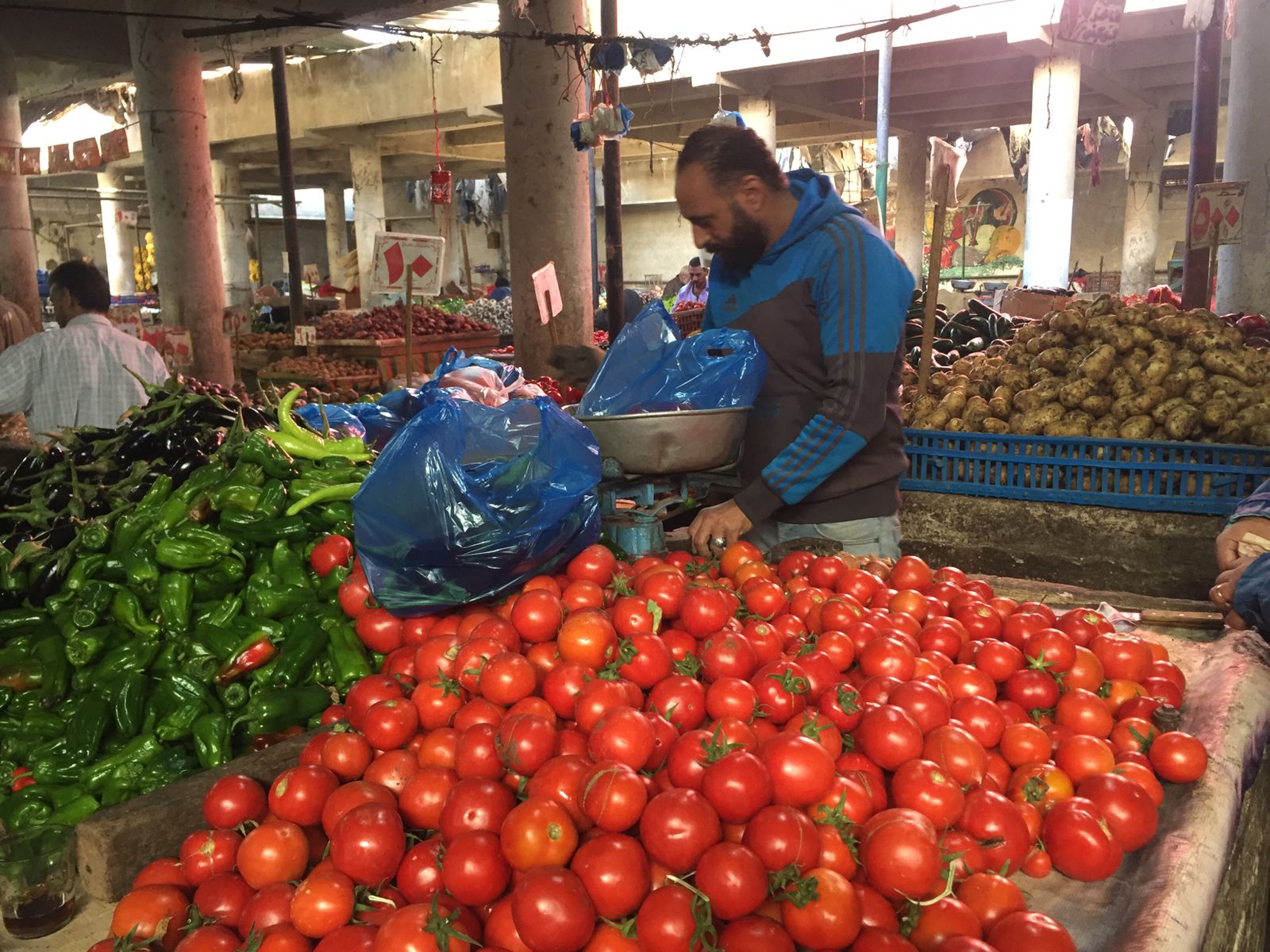 الطماطم بـ 3.5 بسوق الإسماعيلية
