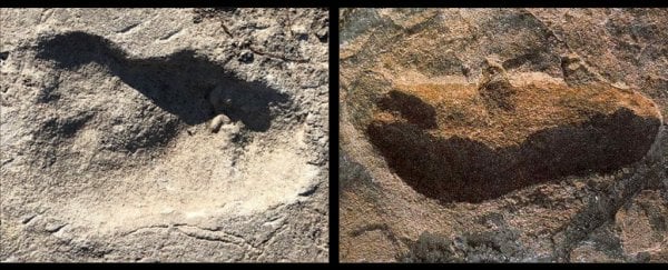 آثار أقدام عمرها 3.7 مليون عام