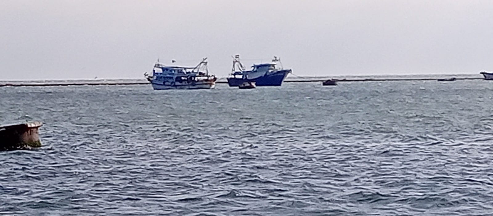توقف حركة الصيد بميناء بورسعيد  (3)