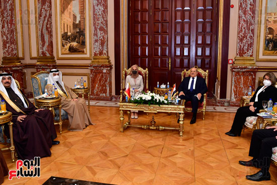 لقاء المستشار عبد الوهاب عبد الرزاق رئيس مجلس الشيوخ مع السيدة (12)
