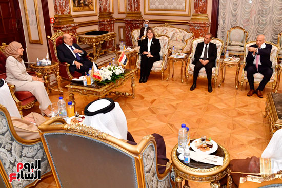 لقاء المستشار عبد الوهاب عبد الرزاق رئيس مجلس الشيوخ مع السيدة (20)