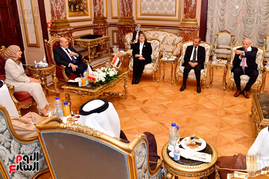لقاء المستشار عبد الوهاب عبد الرزاق رئيس مجلس الشيوخ مع السيدة (19)