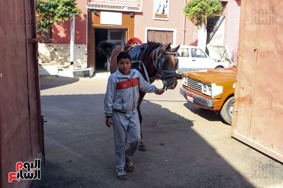 طفل يصطحب حصانه لعلاجه