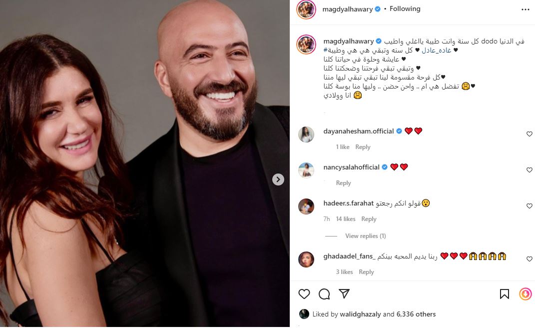 مجدي الهواري