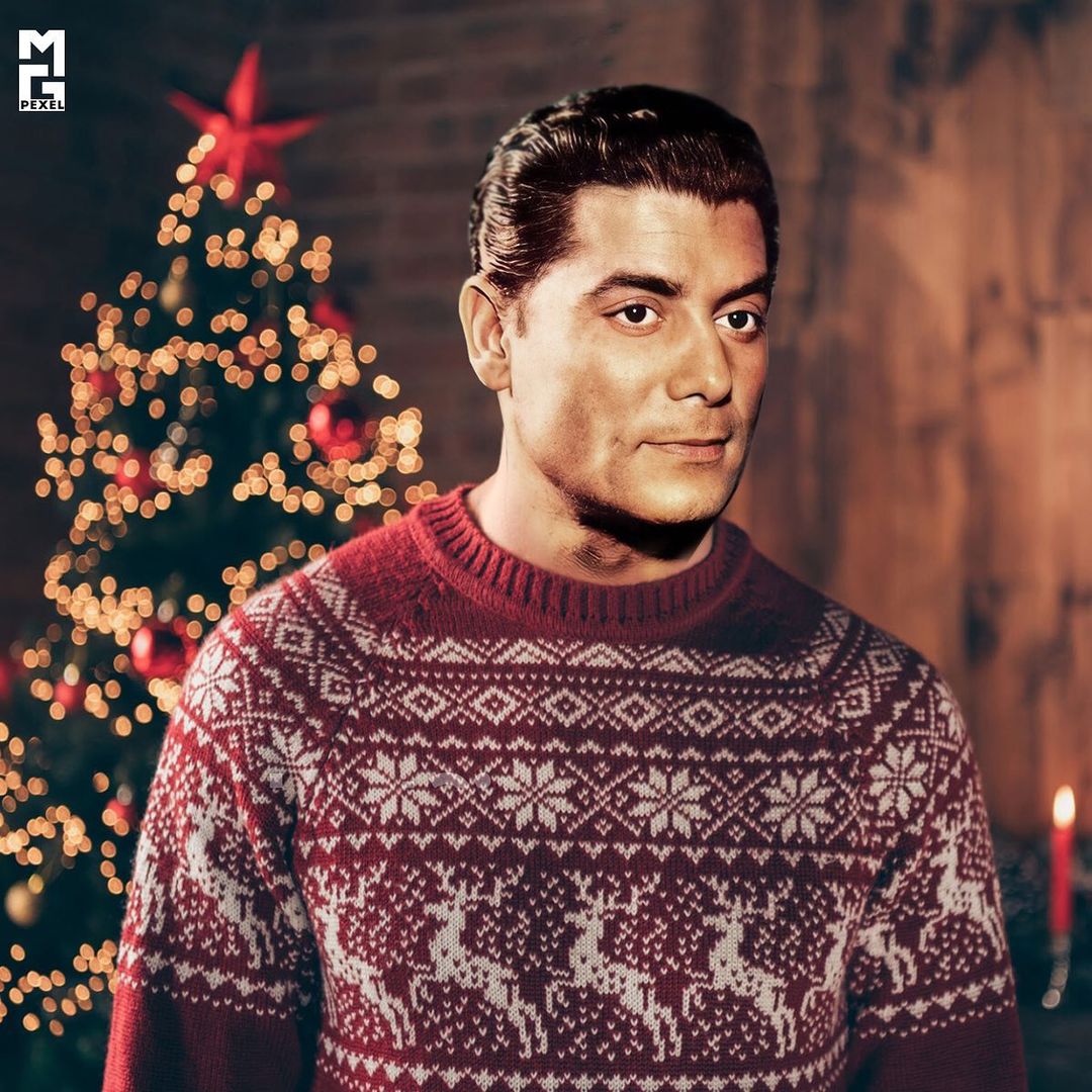 شكري سرحان شكري سرحان