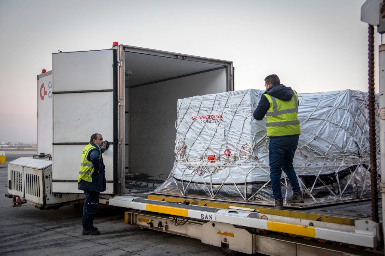 مصر تتسلم دفعة لقاحات