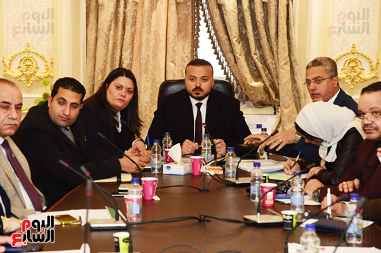  اجتماع لجنة المشروعات المتوسطة والصغيرة (1)