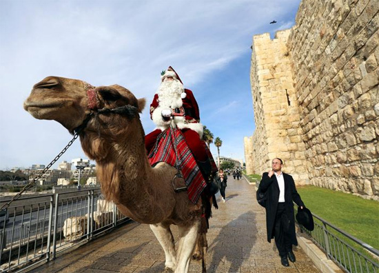 بابا نويل على جمل أثناء زيارته لبوابة يافا في البلدة القديمة في القدس
