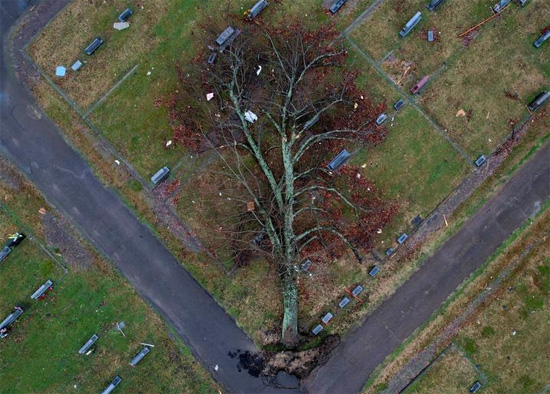 منظر جوي لشجرة سقطت في مقبرة بعد اندلاع مدمر للأعاصير التي اجتاحت العديد من الولايات الأمريكية