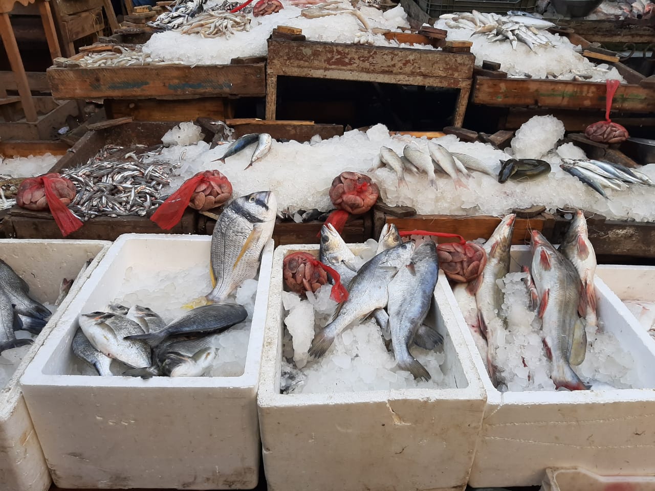 سوق السمك بالشرقية