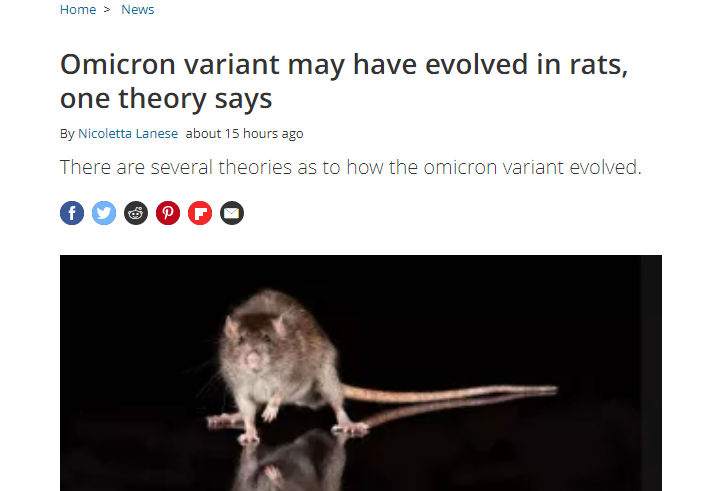 أوميكرون ربما يكون من الفئران
