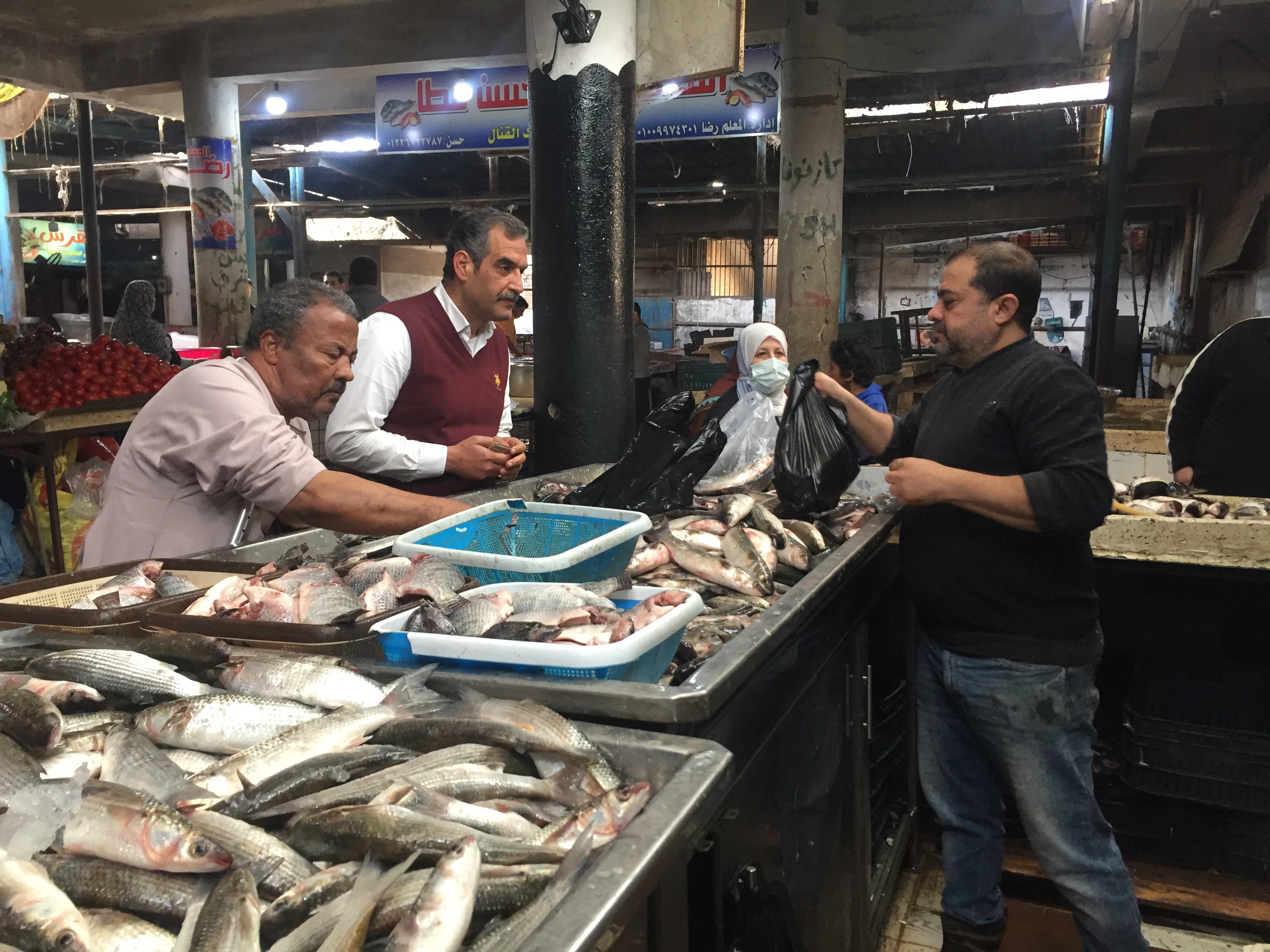 سوق الأسماك بالإسماعيلية (9)