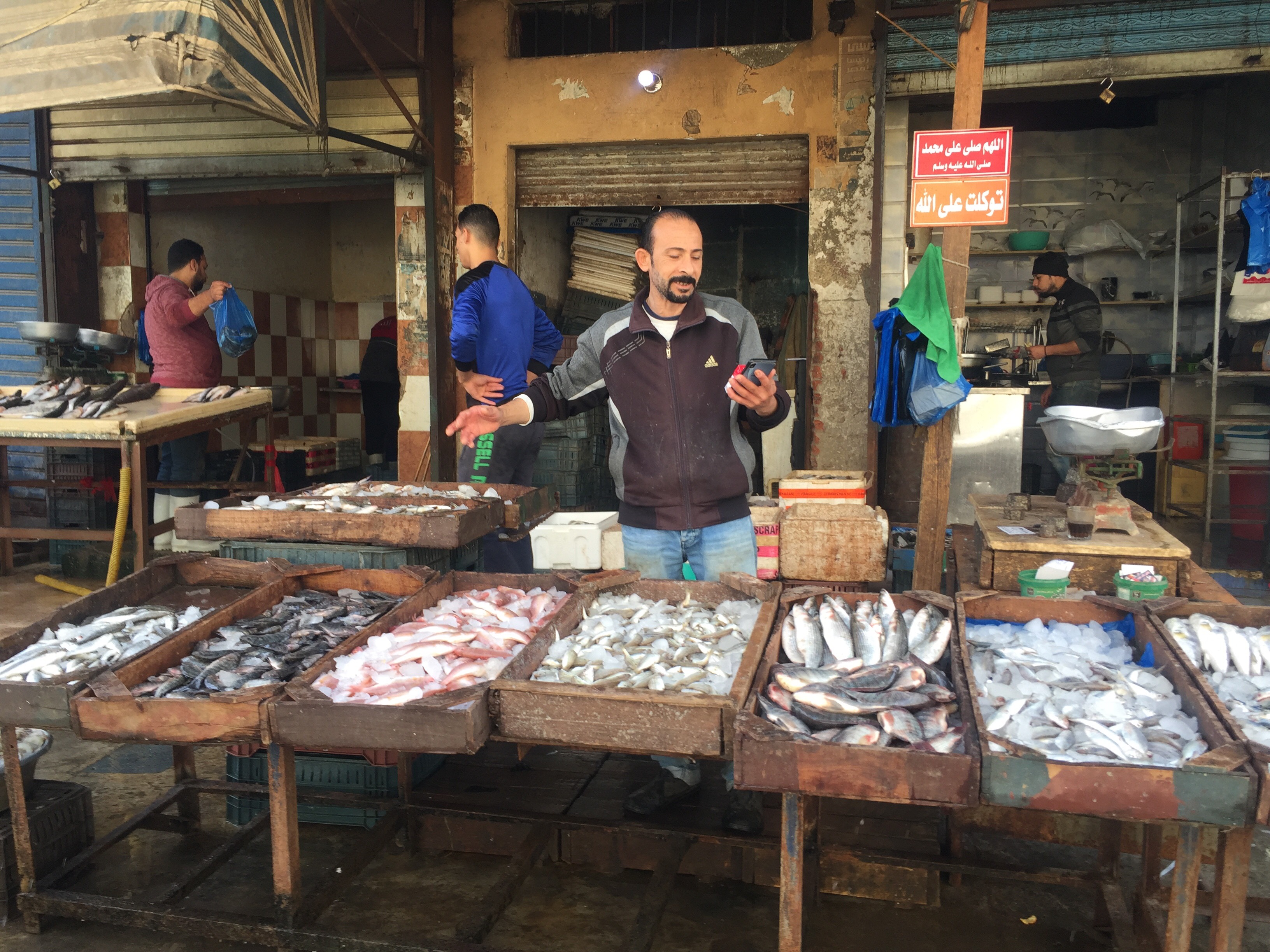 سوق الأسماك بالإسماعيلية (2)
