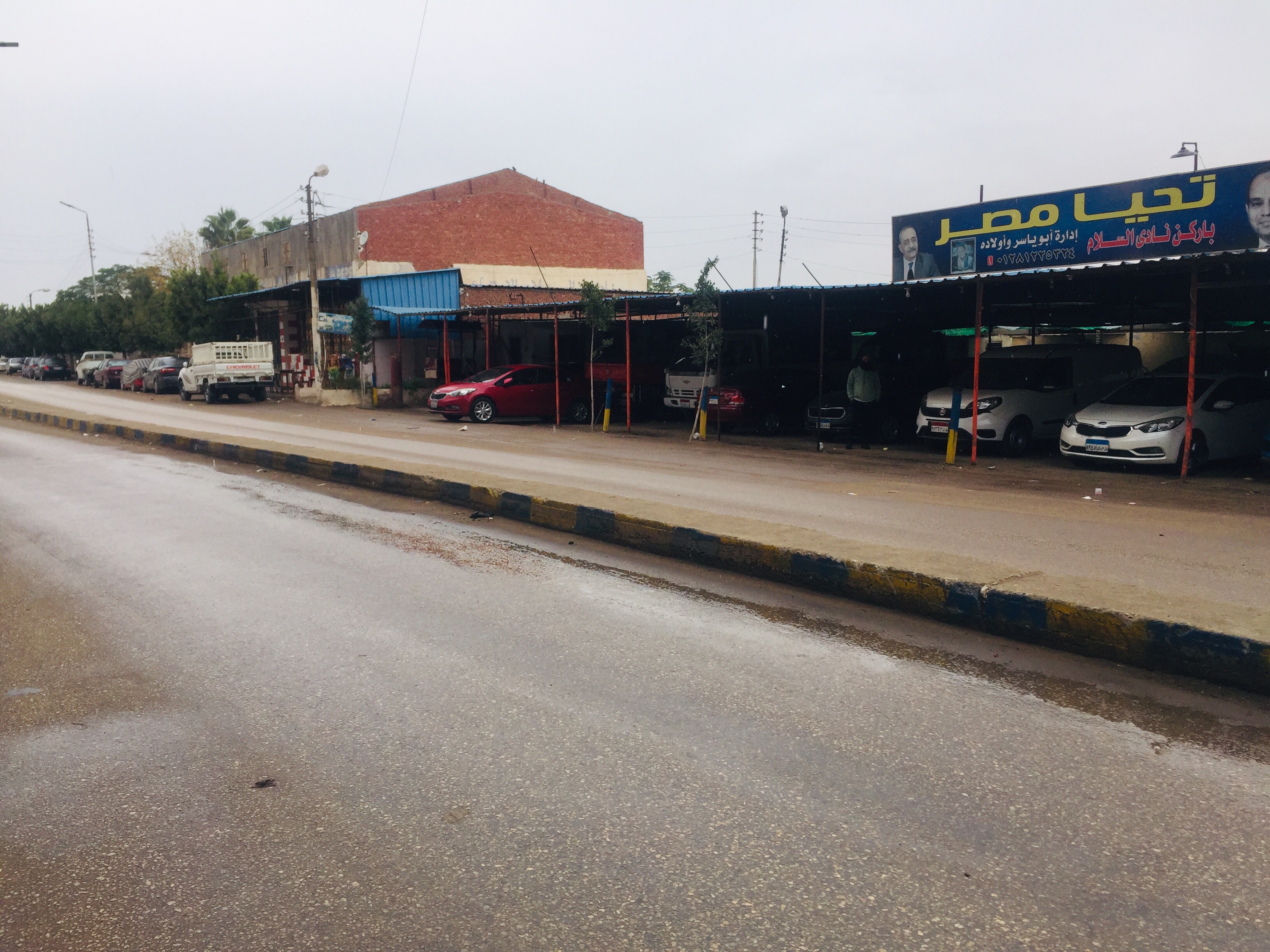  تساقط أمطار متوسطة فى الإسماعيلية  (4)
