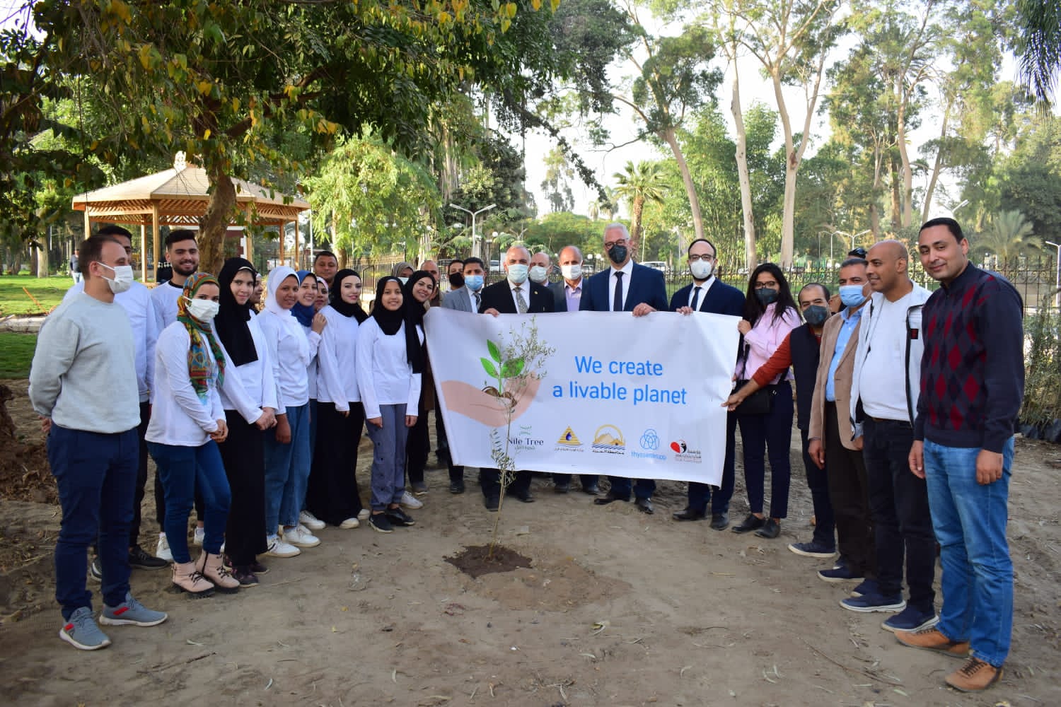 زراعة 1000 شجرة مثمرة بالقناطر الخيرية ضمن مبادرة شباب بتحب مصر