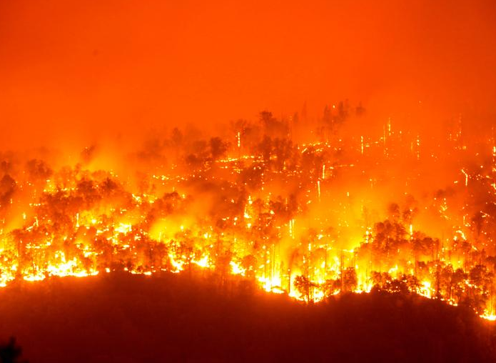 حريق عاصف يحترق في غابة سيكويا الوطنية في كاليفورنيا