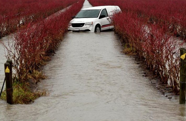 سيارة تابعة لشركة ترميم تقع في حقل غمرته المياه ب
