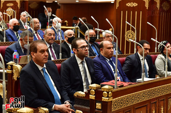 جلسة مجلس الشيوخ برئاسة المستشار عبد الوهاب عبد الرزاق (8)