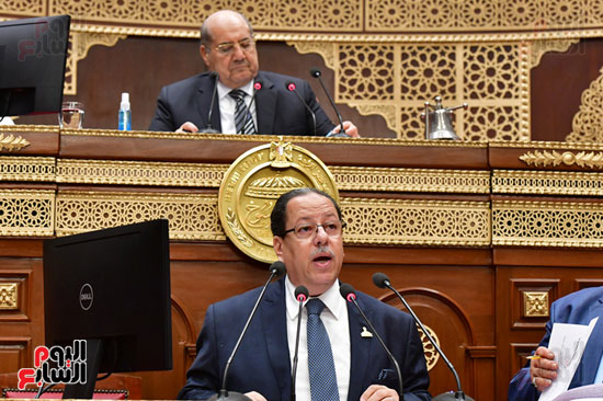 جلسة مجلس الشيوخ برئاسة المستشار عبد الوهاب عبد الرزاق (9)