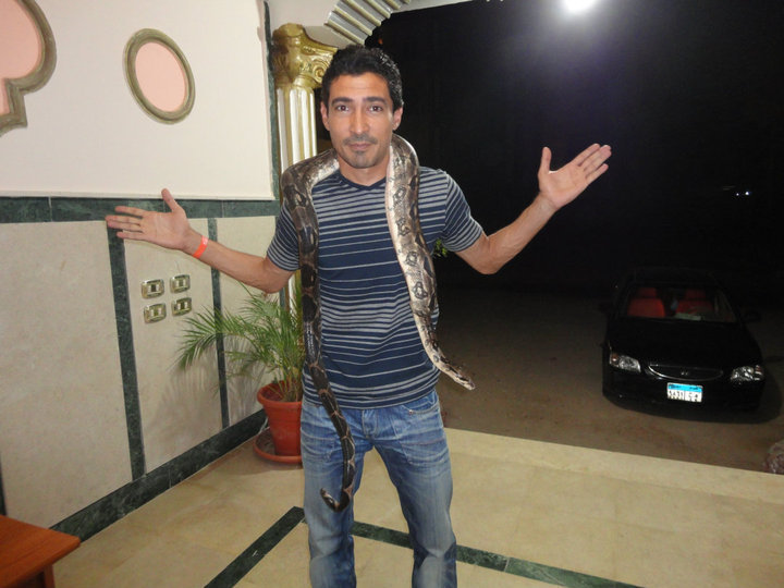 محمد بركات مع الثعبان