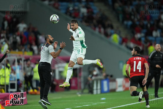 مباراة مصر والجزائر  (31)