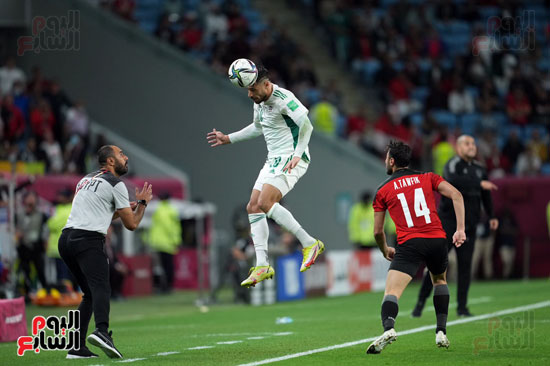 مباراة منتخب مصر و الجزائر (4)