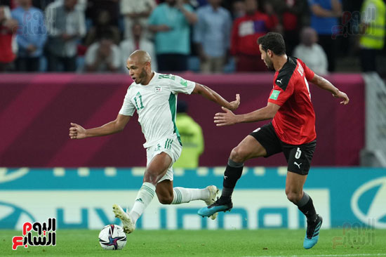 مباراة مصر والجزائر  (8)