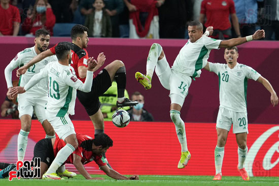 مباراة مصر والجزائر  (28)
