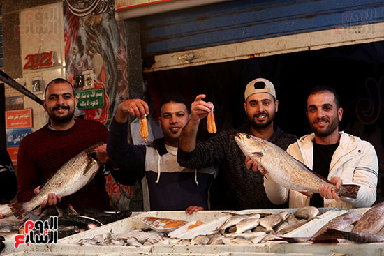 البطارخ والاسماك في محافظة بورسعيد