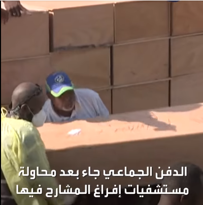 غينيا 3