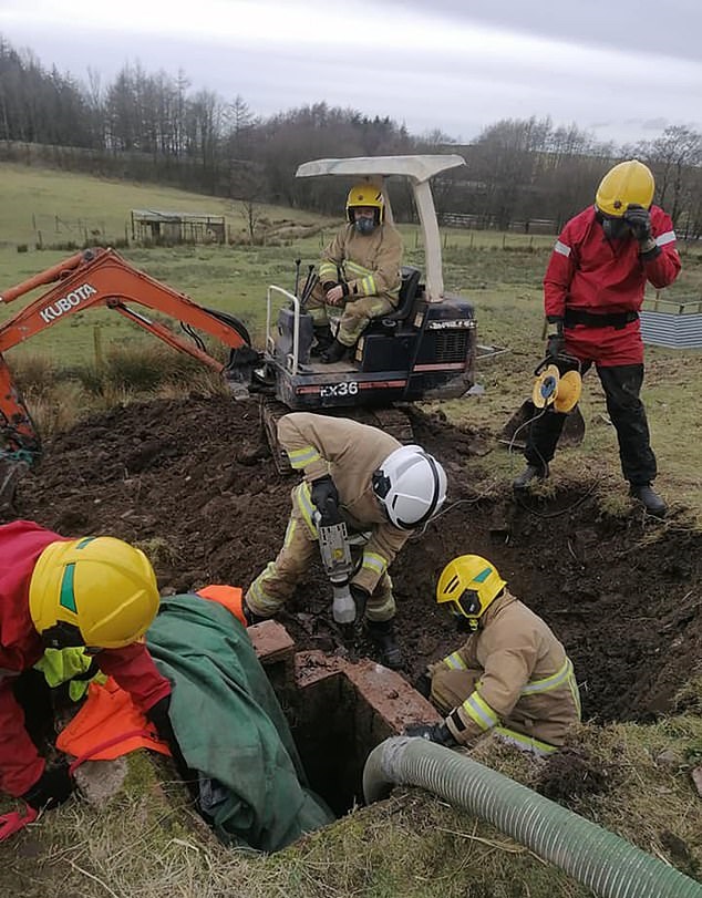 رجال الإطفاء ينقذون حصان بعد سقوطه في حفرة بإنجلترا (2)