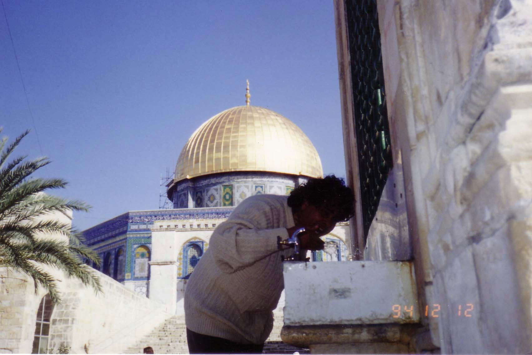 على حميدة فى فلسطين