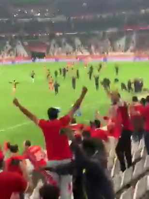 احتفالات الجمهور