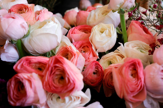 ورود معروضة في محل لبيع الزهور قبل عيد الحب في باريس