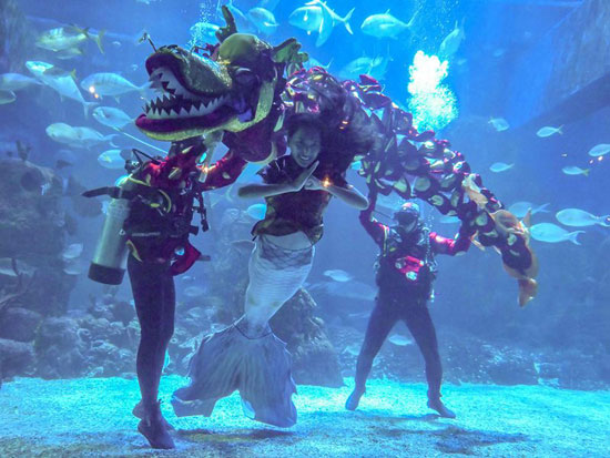 عرض تنين تحت الماء بمناسبة العام القمري الصيني الجديد
