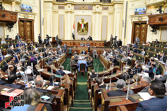 مجلس النواب (12)