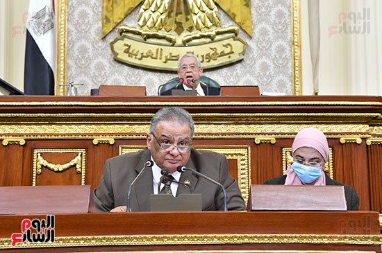 جلسة مجلس النواب برئاسة المستشار الدكتور حنفي جبالي  (10)