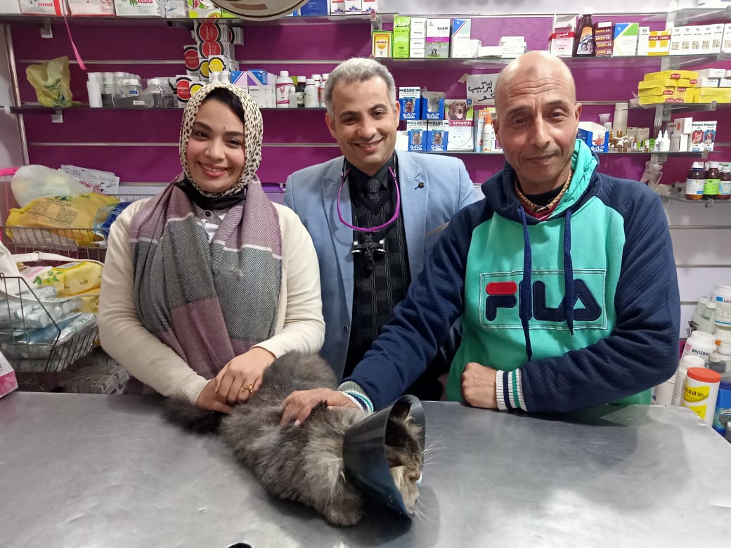القط والطبيب البيطري وصاحبة القط ومدير مكتب اليوم السابع بكفر الشيخ