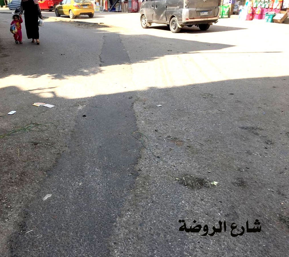 إصلاح وترميم الحفر والقواطع بمدينة بنى سويف (4)