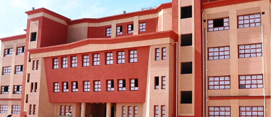 المدرسة الدولية الحكومية بكفر الشيخ