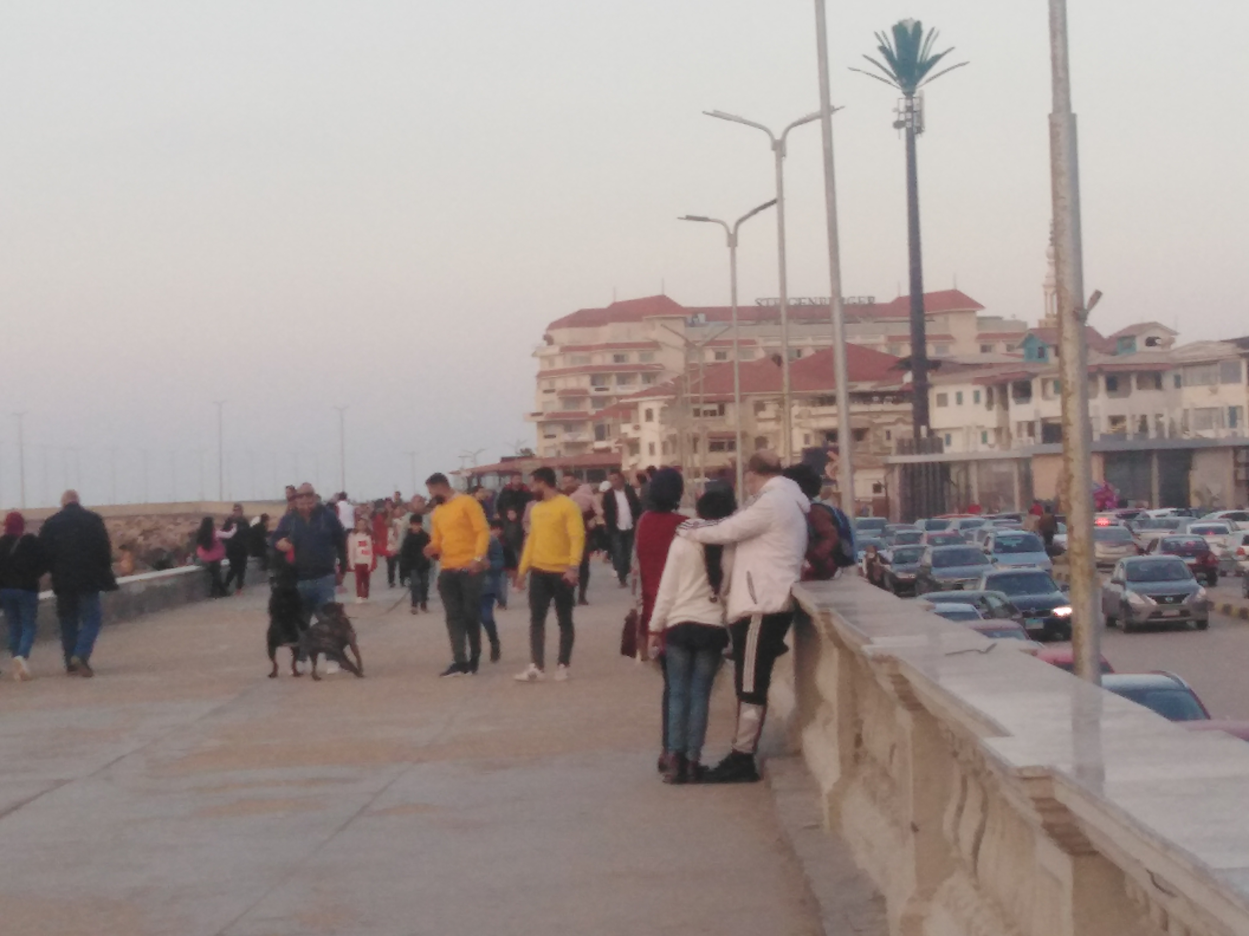 توافد المواطنين على منطقة اللسان برأس البر للاستمتاع بالجو (2)